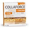 Dietmed Italia S.r.l. Collaforce Super 10.000 + Curcuma 20 Bustine