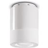 Ferroluce PLAFONIERA PI BIANCO GREZZO C985(BIG)