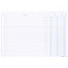 EDI PRO EDIPRO - E3373BL - 100 schede dare/avere/saldo blu f.to 17x24