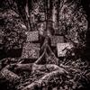 BB (XL REC.) Harmony Of Difference (Ep)