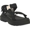 PALLADIUM 001 PALLACRUISE