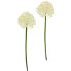 Flair Flower Fiore artificiale Allium, fiore a sfera, fiore singolo, fiore artificiale, decorazione per bouquet di fiori artificiali e bouquet, fiori decorativi
