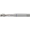 RUKO 233120 - Macho de roscar para máquinas M DIN 376 HSS, rectificado - Tipo C (M 12)