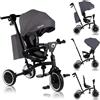 LIONELO Tris Plus 2in1 Bicicletta Triciclo e Passeggino pieghevole per bambini da 9 mesi fina a 25kg Sedia 360gradi Fronte Mamma o Strada Bici regolabile e compatta Borsa Portabibite Ruote PU