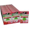 PERFETTI VAN MELLE ITALIA Srl DAYGUM PROTEX FRAGOLA GEL 30 G