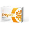 Pegaso Axidophilus - Integratore Alimentare di Fermenti Lattici Liofilizzati e Fibra Prebiotica (60 capsule)