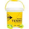 Dunlop SECCHIO PALLINE TENNIS TRAINING - 60 PZ