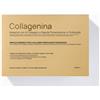 Labo Collagenina Impacco con 6 Collageni Grado 2