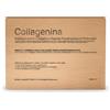 Labo International Collagenina Impacco 6 Collageni Grado 3