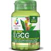 OPTIMA NATURALS Srl COLOURS OF LIFE THE VERDE EGCG 60 CAPSULE VEGETALI