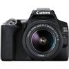 Canon EOS 250D digital camera (24.1 megapixels, 7.7 cm (3 inches) Vari-Angle Dis