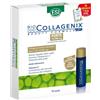 ESI BIOCOLLAGENIX FT 10+7 OMAG