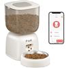 PUPPY KITTY Distributore Automatico Cibo Gatti, 2.4G WiFi Dispenser Cibo Gatti Collegare APP con 10S Registrazion, Ciotola in Acciaio Inossidabile 304, 1-10 Pasti al Giorno, 3L