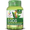 Colours Of Life The Verde Egcg 60 Capsule Vegetali Colours Of Life
