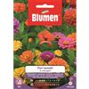 Blumen Fiori annuali alti mix