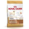 Royal canin labrador 3 kg