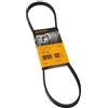 CONTITECH 4PK885 Cinghia Poly-V