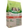 NaturalPet Cat Sterilised Salmone - 8 Kg - Crocchette naturali cane - 1° ORDINE? scegli lo sconto BZR5 / BZR20 + 200 punti fedeltà