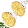 MILYN 2 Pezzi 100W Lampada per Piante a Sunlike Spettro Completo Grow Light E27 Luce per Piante Giardino Serra Idroponica, Acquario Serre, Giardini Interni, Fiori, Verdure, Frutta, Orchidee, Bonsai