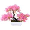 Verve Jelly Piante Artificiali Mini Bonsai Finto Fiore di Cedro Pianta di Pino Cedro Giapponese Pianta Bonsai per Decorazioni da Tavola da Scrivania per Ufficio, Rosa 1