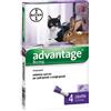 Advantage 80mg Spot On Gatti Conigli Grandi 4 Pipette 0,8ml