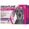 Frontline Tri-Act Cani da 20 - 40 Kg 6 Pipette da 4ml