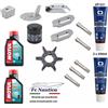 YAMAHA kit tagliando fuoribordo YAMAHA SELVA F40 olio motul, filtro girante anodi 300h