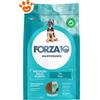 Forza10 Dog Mantenance Medium Maxi Puppy al Pesce - Sacco Da 12 Kg