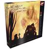 Avalon Hill / Wizards of the Coast c01410000 - Betrayal at House On The Hill: Widow' S Walk - Inglese