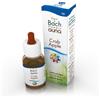 GUNA SpA Crab Apple - Fiore di Bach n°10 Guna - 10 ml