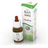 GUNA SpA Heather - Fiore di Bach n°14 Guna - 10 ml