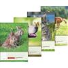 Baier & Schneider Brunnen Animal 104681402 Homework Book A5, 48 fogli, 4 design)