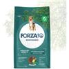 Forza10 FORZA 10 MEDIUM ADULT MANTENIMENTO CERVO E PATATE 12 KG NEW