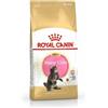 6057 Royal Canin Kitten Maine Coon Crocchette Per Gattini Sacco 2kg 6057 6057