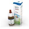 GUNA SpA Pine - Fiore di Bach n°24 Guna - 10 ml