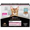 Purina Pro Plan Delicate Cibo Umido per Gatti - Pesce Oceanico - IN SALSA - 10x85 gr