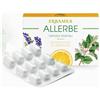erbamea ALLERBE 24CPS