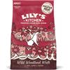 Lily's Kitchen Duck, Salmon and Venison Adult Dog 2,5kg