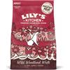 Lily's Kitchen Duck, Salmon And Venison Adult Dog 2,5kg Lily's Kitchen