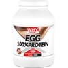 WHY SPORT EGG 100% PROTEIN - Proteine Senza Lattosio - Proteine in Polvere - Proteine di Albumina d'Uovo - Gusto Cacao - 750gr