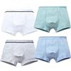 YCDZ Boxer Intimo Mutande Cotone Bambino, Boxer Ragazzi Pantaloni Intimo Puro Cotone Confezione da 4, Biancheria Intima Taglia 3-17 Anni (# - A,6-9 Anni)