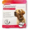 Beaphar Canishield, collare antipulci per cani medicati | Uccide pulci, zecche e sandfllies | regolabile per cani di grossa taglia (fino a 65 cm) | protezione a lunga durata | trattamento per la