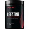 SELF OMNINUTRITION REAL CREATINE 500 GRAMMI