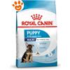 Royal Canin Dog Maxi Puppy - Sacco Da 15 Kg