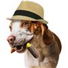 AmeizPet Giochi Per Cani Indistruttibile Sigaro, 100% Nylon Masticativi Per Cani Sapore Di Manzo, Durevole Gioco Osso Cane, Cucciolo Taglia Grande, Medio