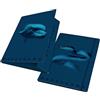 Pigna, Cartella portadocumenti con elastico MONOCROMO BLUE, dorso 1,2, formato 26x35,5 cm., pacco da 6 pezzi