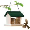 Bseical Mangiatoia per Uccelli Selvatici, Mangiatoia per Uccellini da Esterno in Legno, Mangime per Uccelli Antispreco, Distributore con Finestra Trasparente & Foro di Drenaggio Giardino per Casetta Uccellini