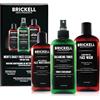 Brickell Men's Products Routine quotidiana per la pulizia del viso da uomo Brickell per pelli grasse, toner senza alcool, gel detergente per il viso e idratante, naturale e biologico, profumato