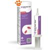 Envu Solfac Gel Scarafaggi 20 Grammi Insetticida - Confezione Da 20 Gr