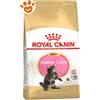 Royal Canin Cat Kitten Maine Coon - Sacco da 400 Gr
